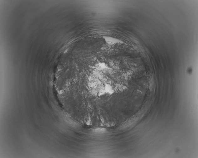 X0000116880374201002021153
