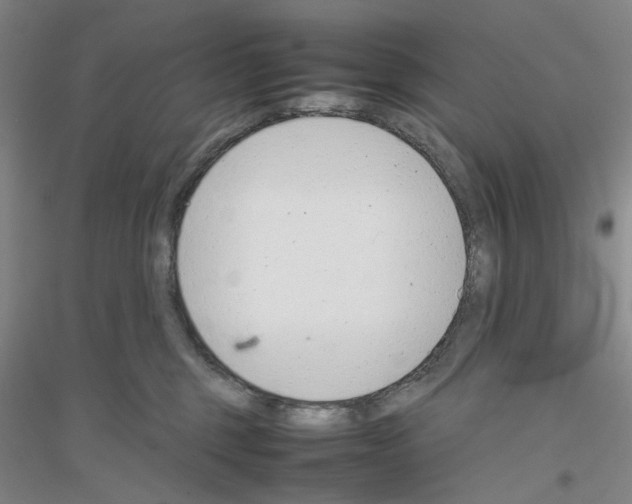 X0000116880375201002021153