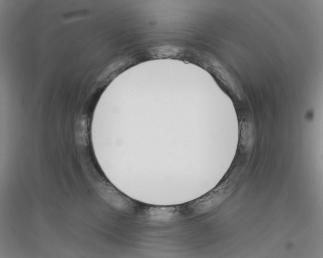 X0000116880378201002021153