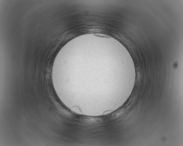 X0000116880379201002021153