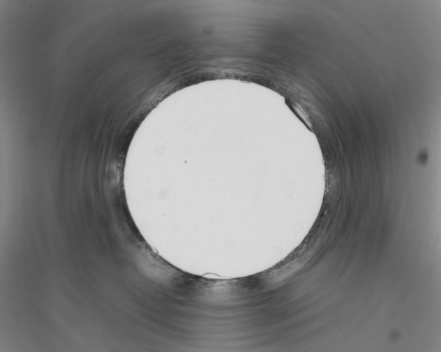 X0000116880382201002021153