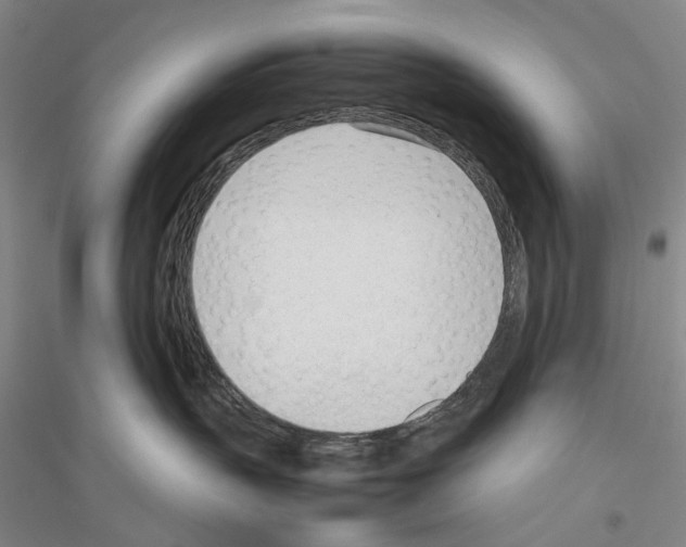 X0000116880383201002021153
