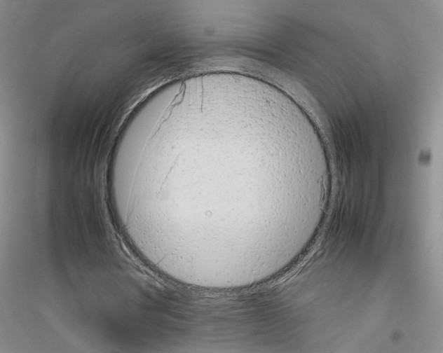 X0000116880386201002021153