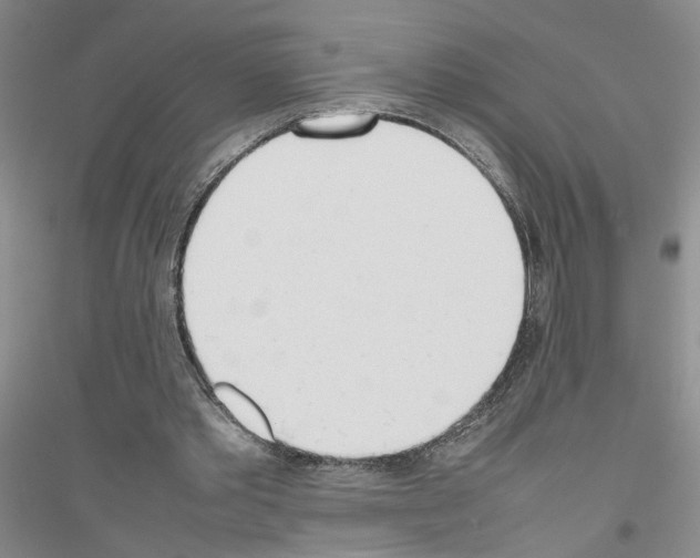 X0000116880389201002021152