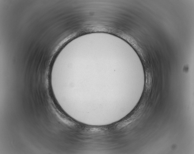 X0000116880390201002021152