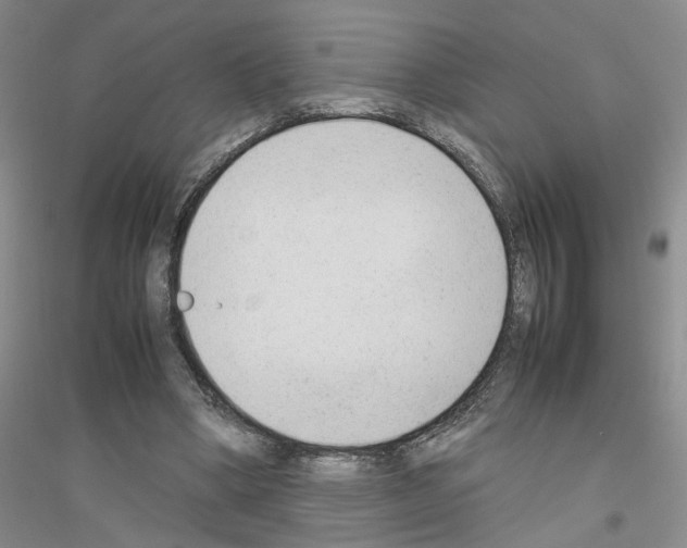 X0000116880394201002021152