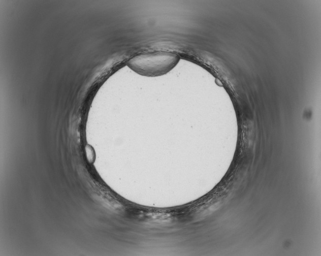 X0000116880395201002021152