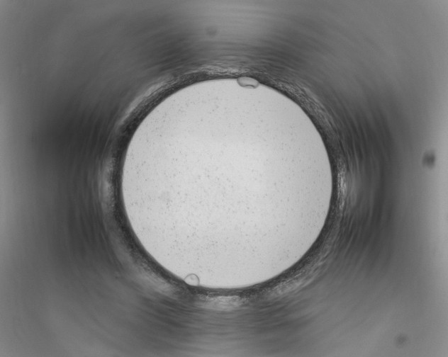 X0000116880396201002021152