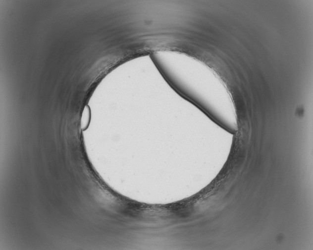 X0000116880397201002021152