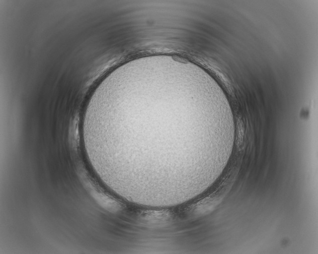 X0000116880398201002021152