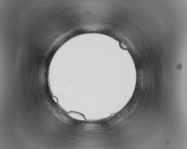 X0000116880400201002021152
