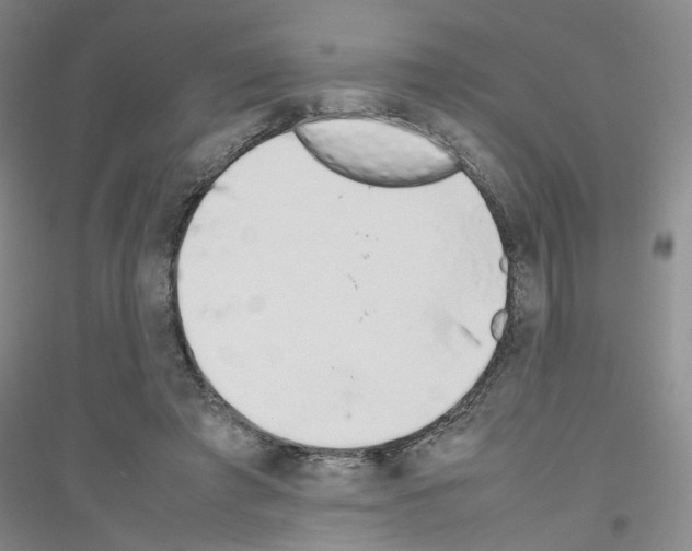 X0000116880401201002021152
