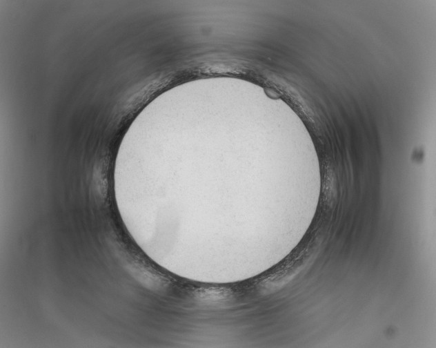 X0000116880402201002021152