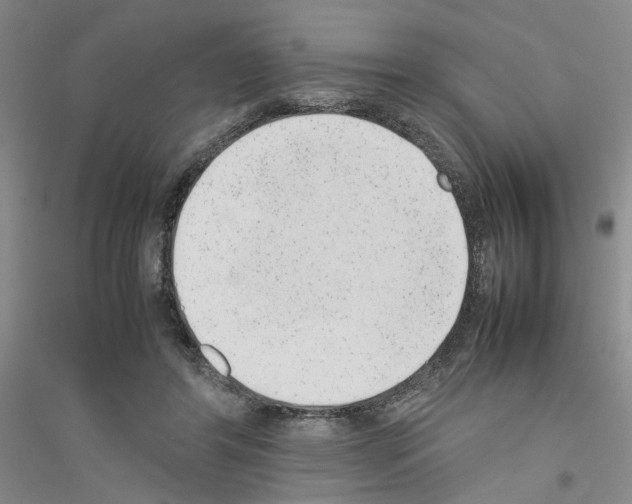 X0000116880404201002021152