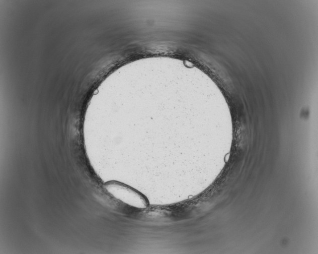 X0000116880407201002021152
