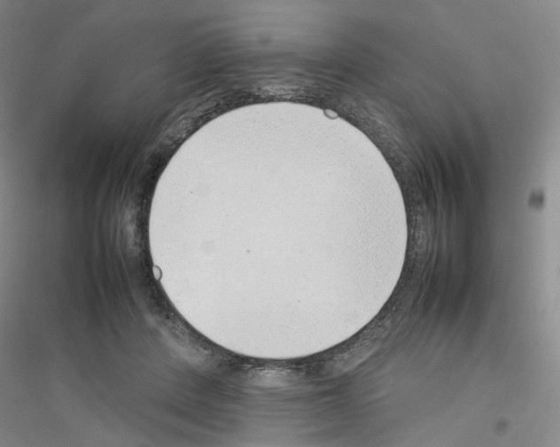 X0000116880408201002021152