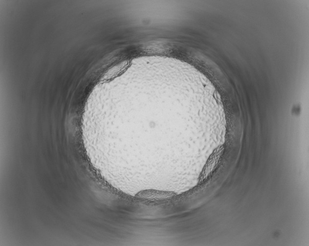 X0000116880409201002021152