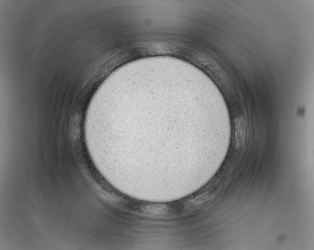 X0000116880410201002021152