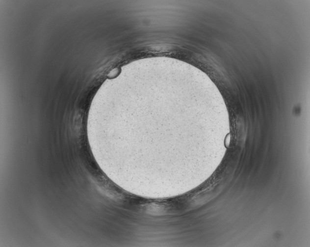 X0000116880412201002021152