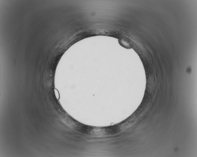 X0000116880413201002021152