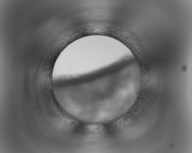 X0000116880415201002021152