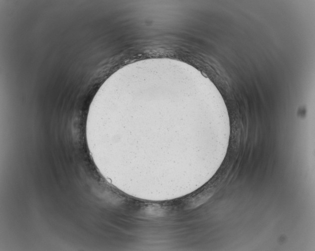 X0000116880416201002021152
