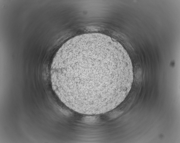 X0000116880418201002021152
