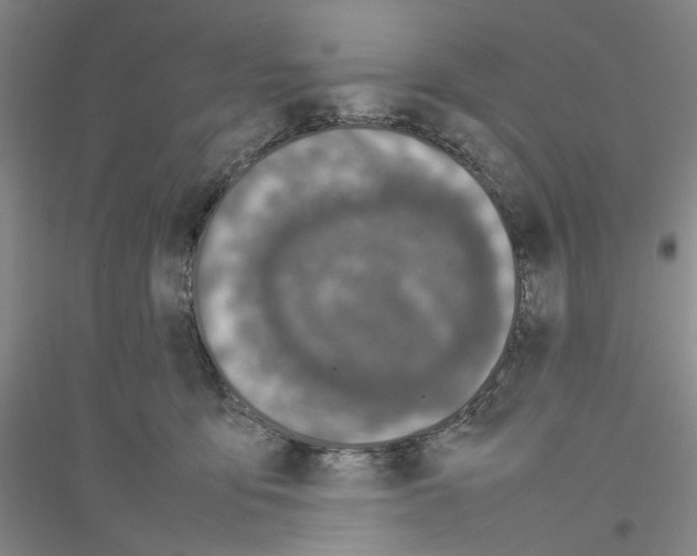 X0000116880419201002021152