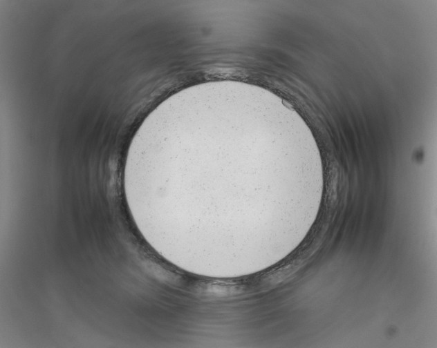 X0000116880420201002021152