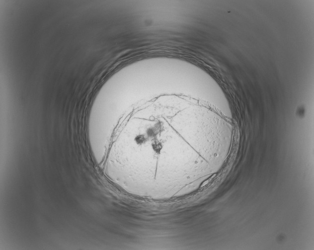 X0000116880421201002021152