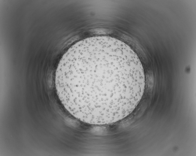 X0000116880422201002021152