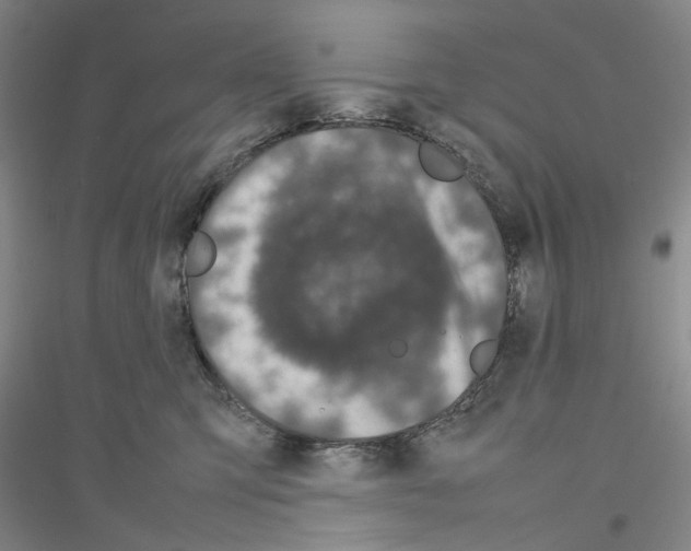 X0000116880423201002021152
