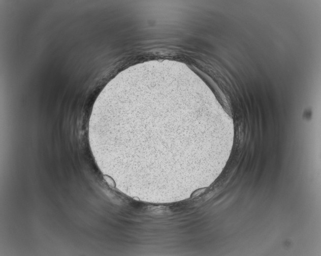 X0000116880424201002021152