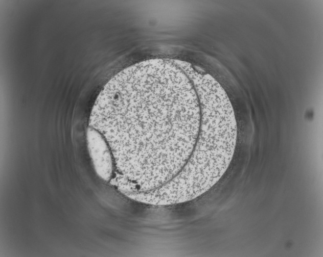 X0000116880425201002021152