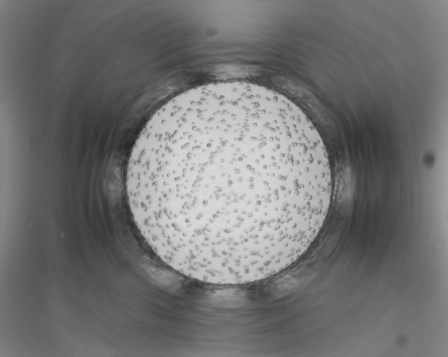 X0000116880426201002021152