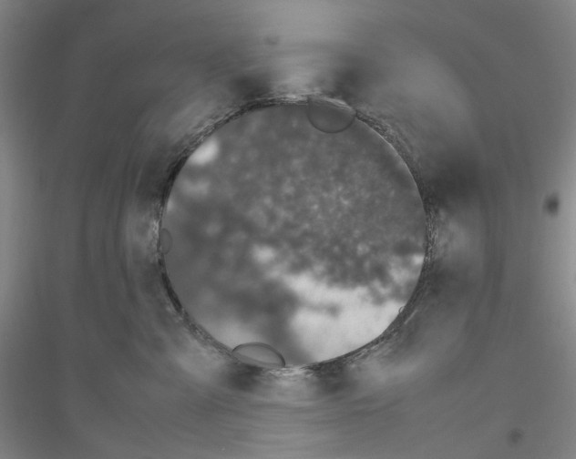 X0000116880427201002021152