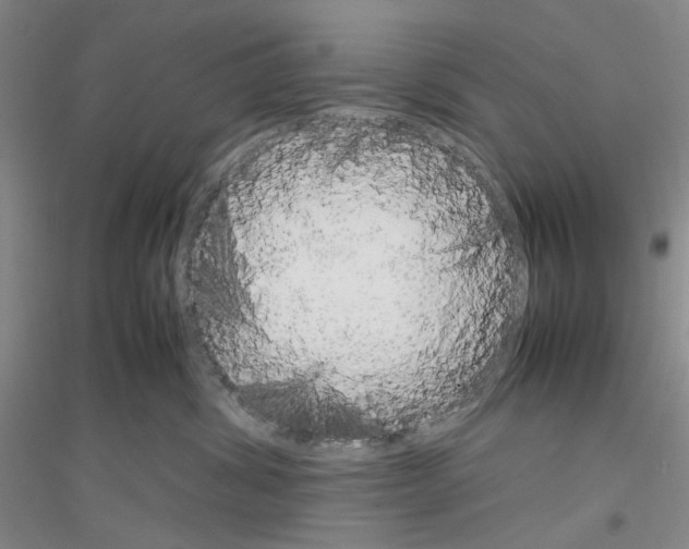 X0000116880428201002021152