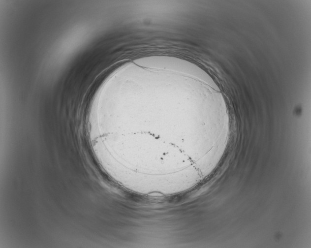 X0000116880429201002021152