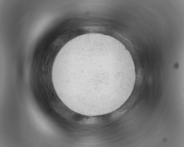 X0000116880430201002021152