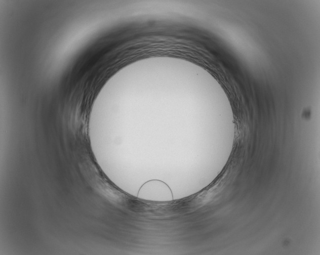 X0000116880431201002021152