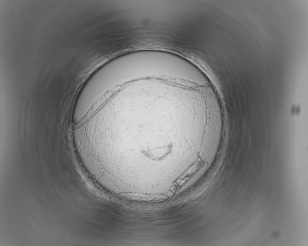 X0000116880433201002021151