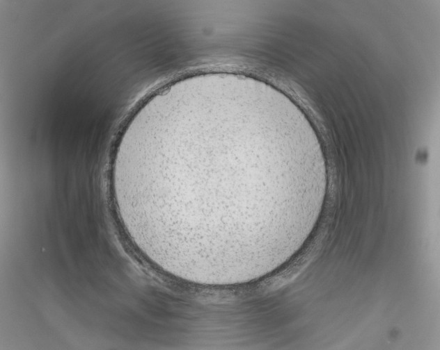 X0000116880434201002021151