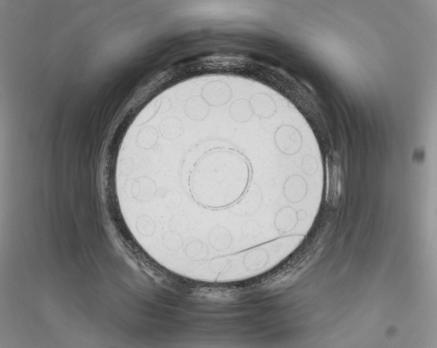 X0000116880435201002021151