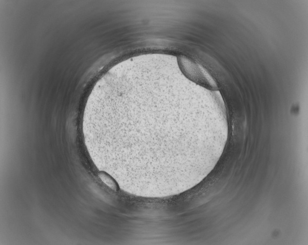 X0000116880436201002021151