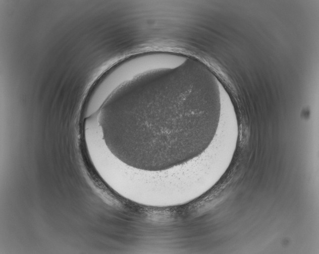 X0000116880438201002021151
