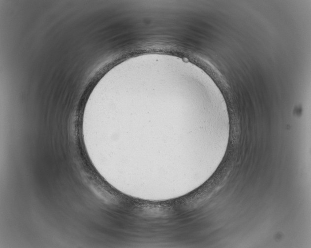 X0000116880439201002021151