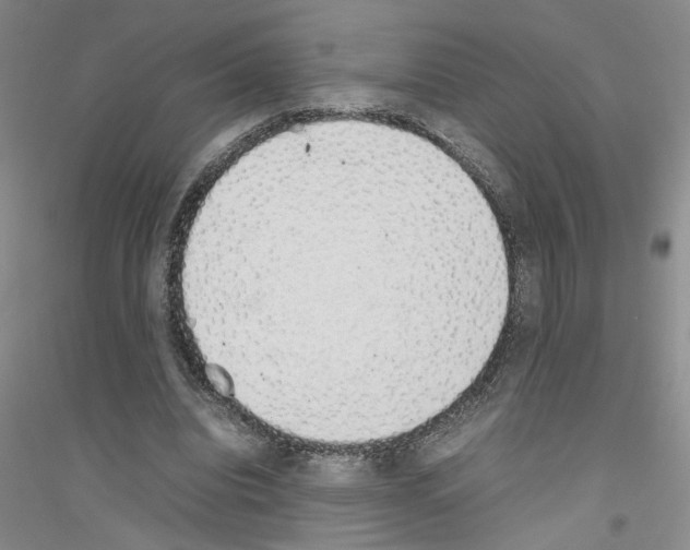 X0000116880440201002021151