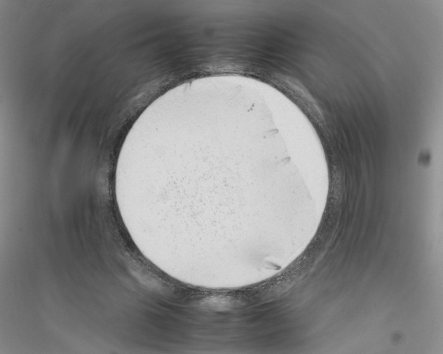 X0000116880441201002021151