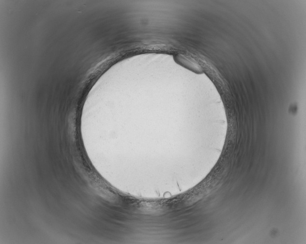 X0000116880442201002021151