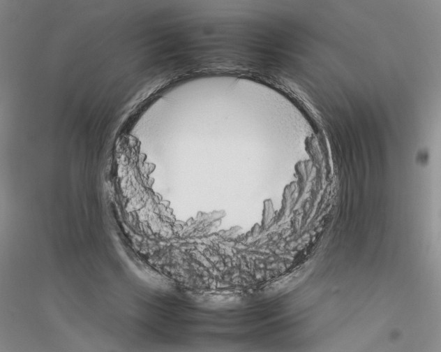 X0000116880443201002021151